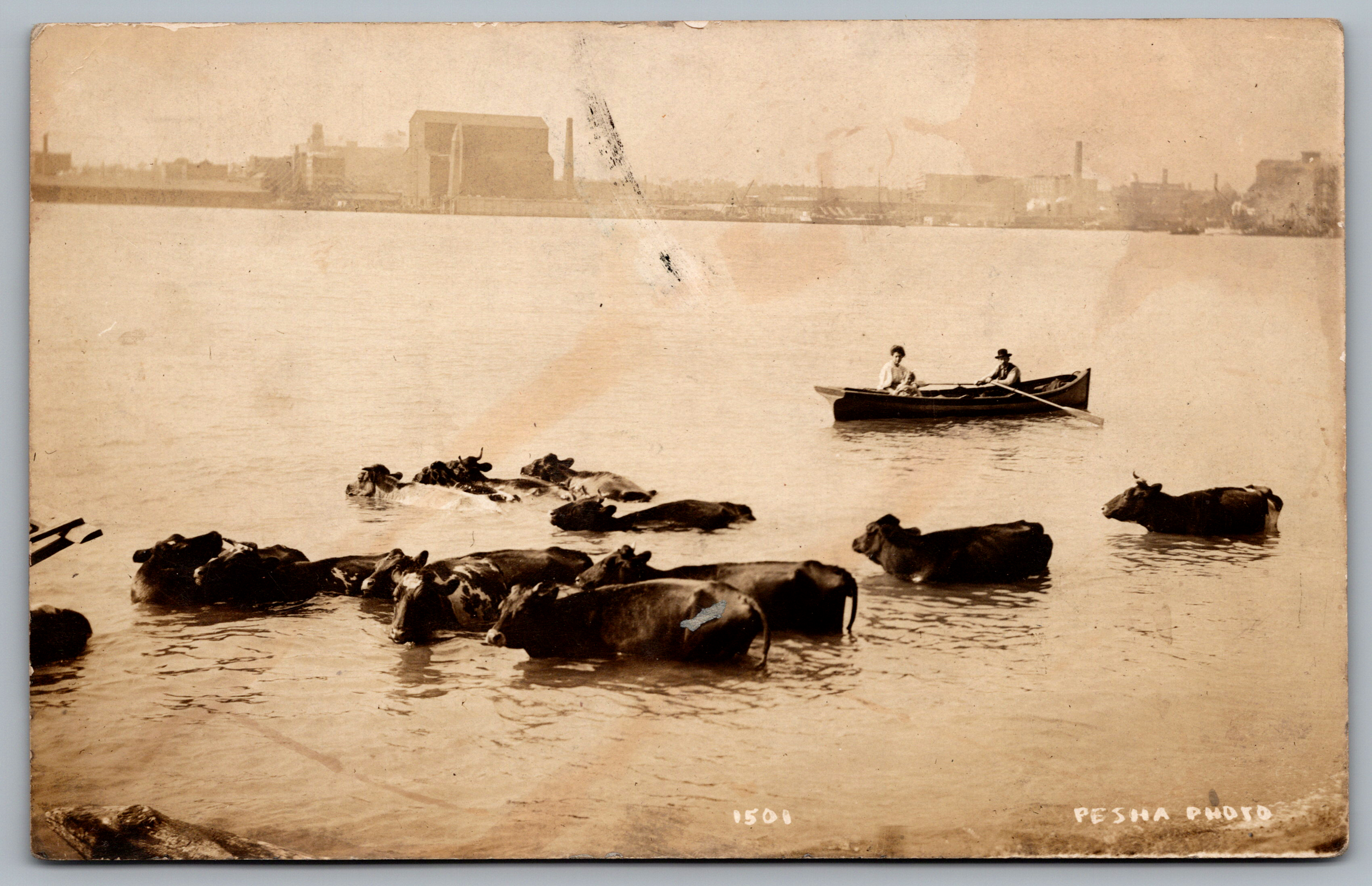 Postcard Front
